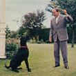 1965: Een moment van ontspanning: spelen met de hond in de tuin